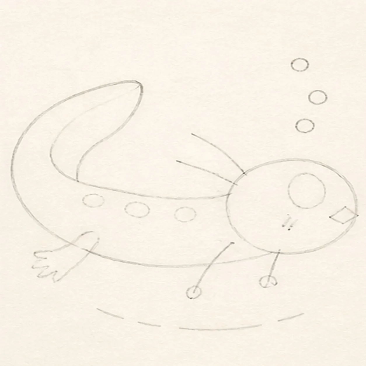 Map the swimming curve stage for how to draw a swimming axolotl