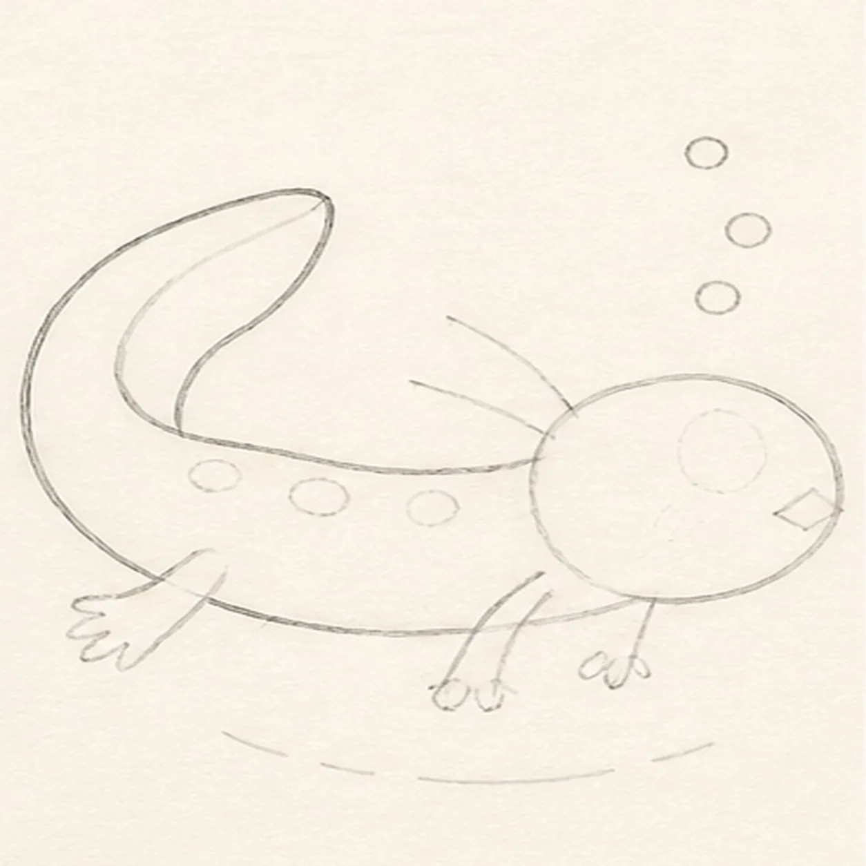 Wrap the head body and tail stage for how to draw a swimming axolotl