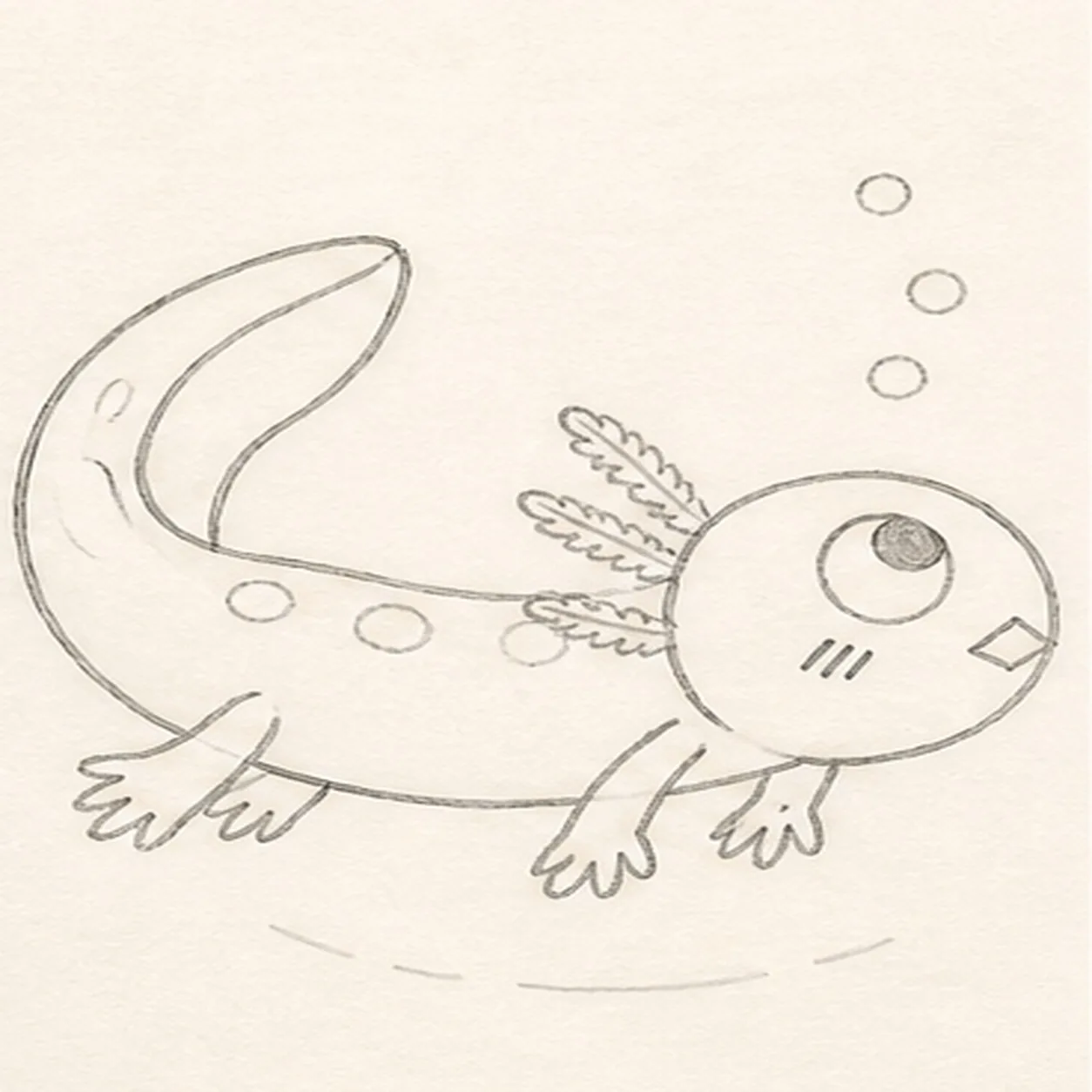 Give the axolotl a surprised face stage for how to draw a swimming axolotl