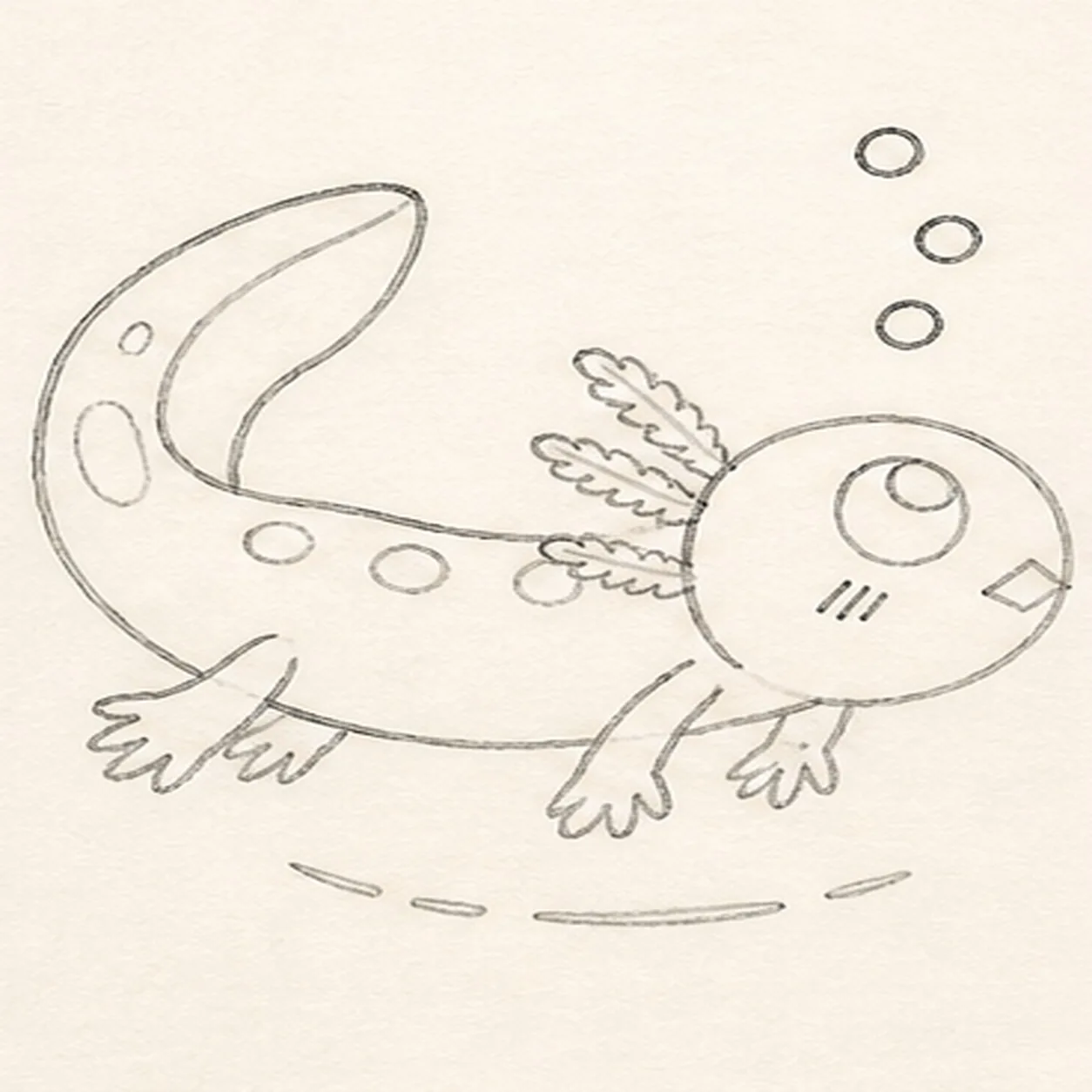 Add the spots bubbles and highlights stage for how to draw a swimming axolotl