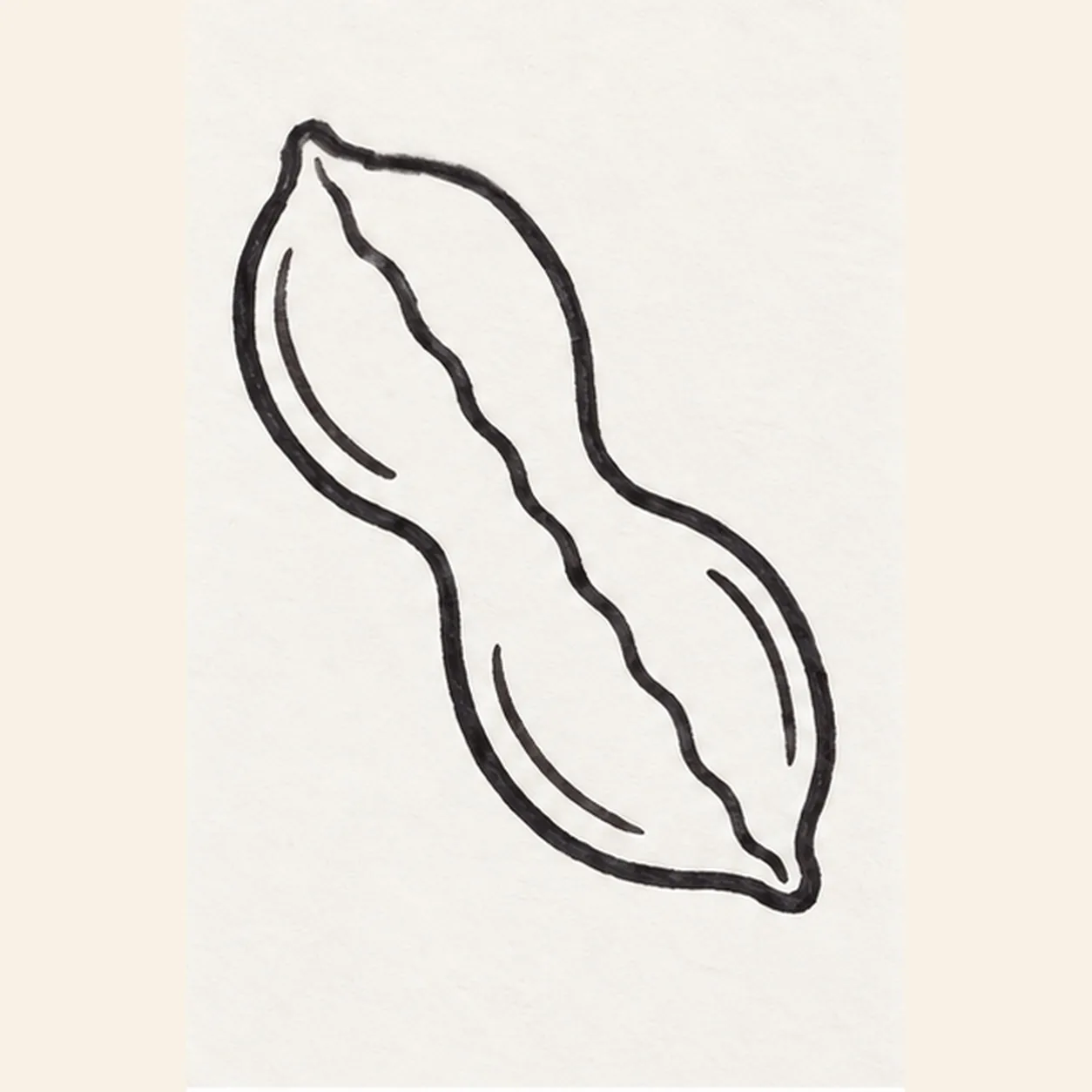 Build the shell seams stage for how to draw a peanut in its shell