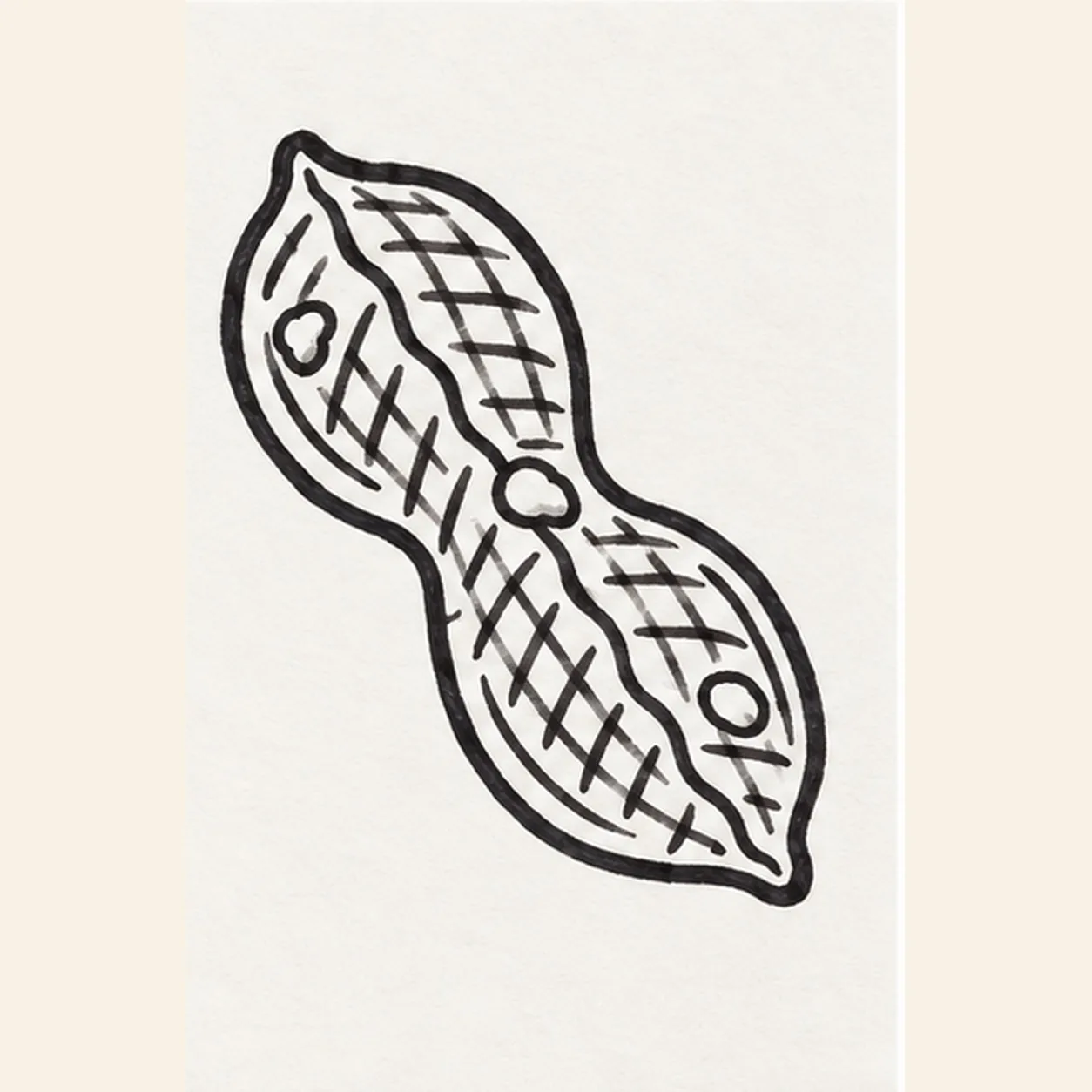 Cross the shell texture stage for how to draw a peanut in its shell