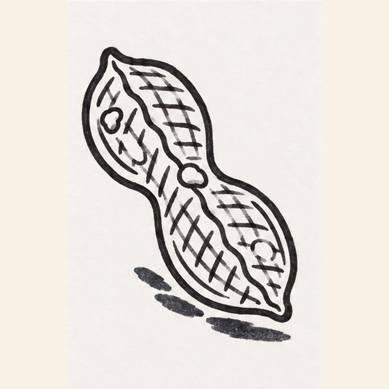 Reserve shine and shadow stage for how to draw a peanut in its shell