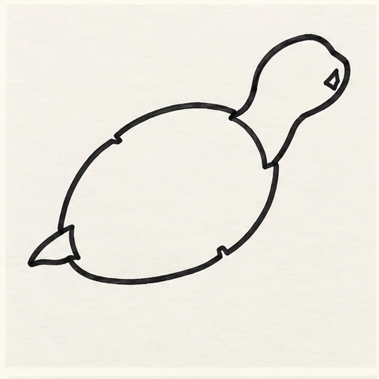 Shape the shell and head stage for how to draw a cartoon sea turtle swimming