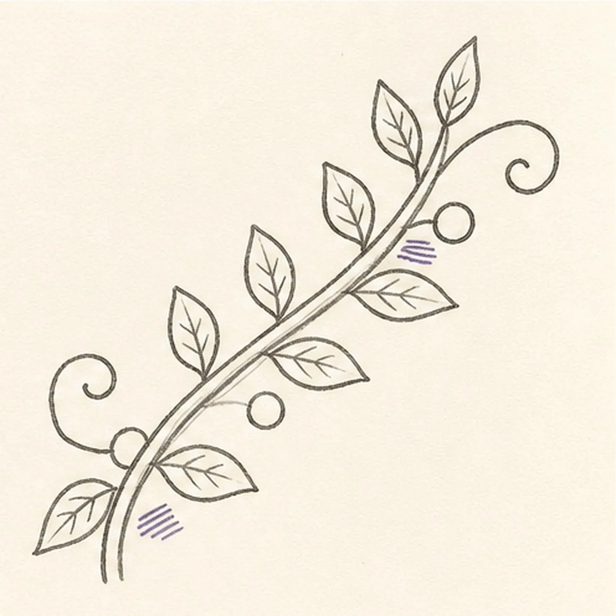 Curl tendrils and veins stage for how to draw a leafy vine flourish